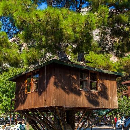 ホテル Gorge Club Saklikent 部屋 写真