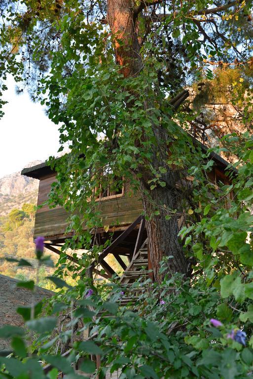 ホテル Gorge Club Saklikent 部屋 写真