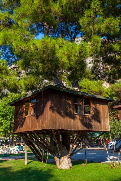 ホテル Gorge Club Saklikent 部屋 写真