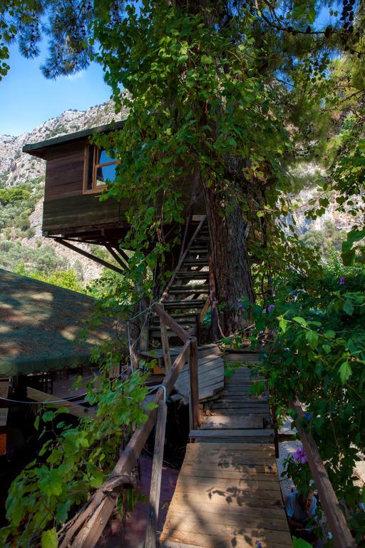 ホテル Gorge Club Saklikent 部屋 写真