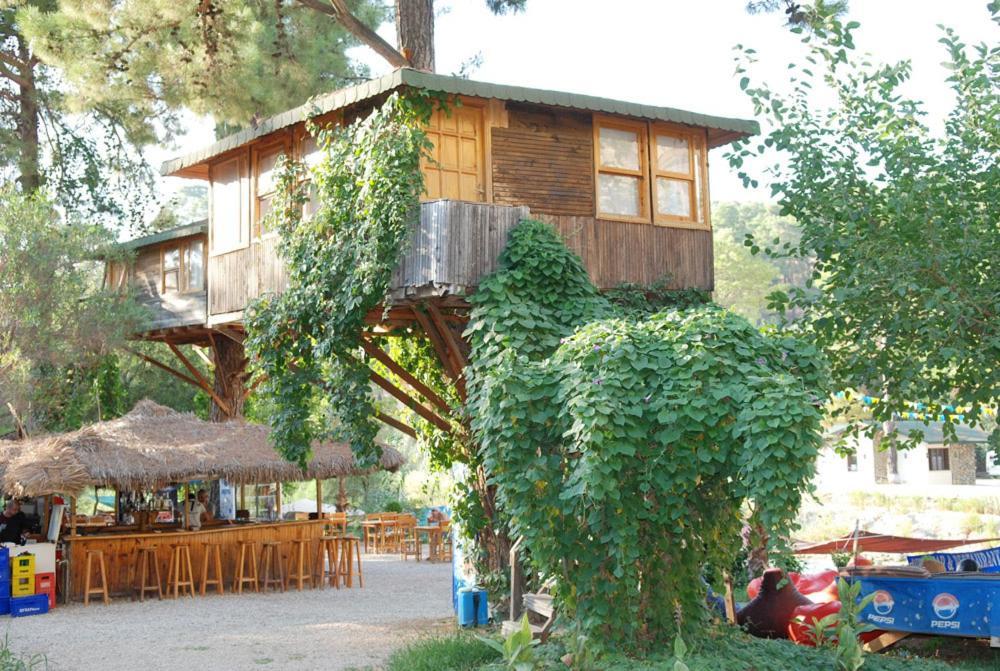 ホテル Gorge Club Saklikent 部屋 写真